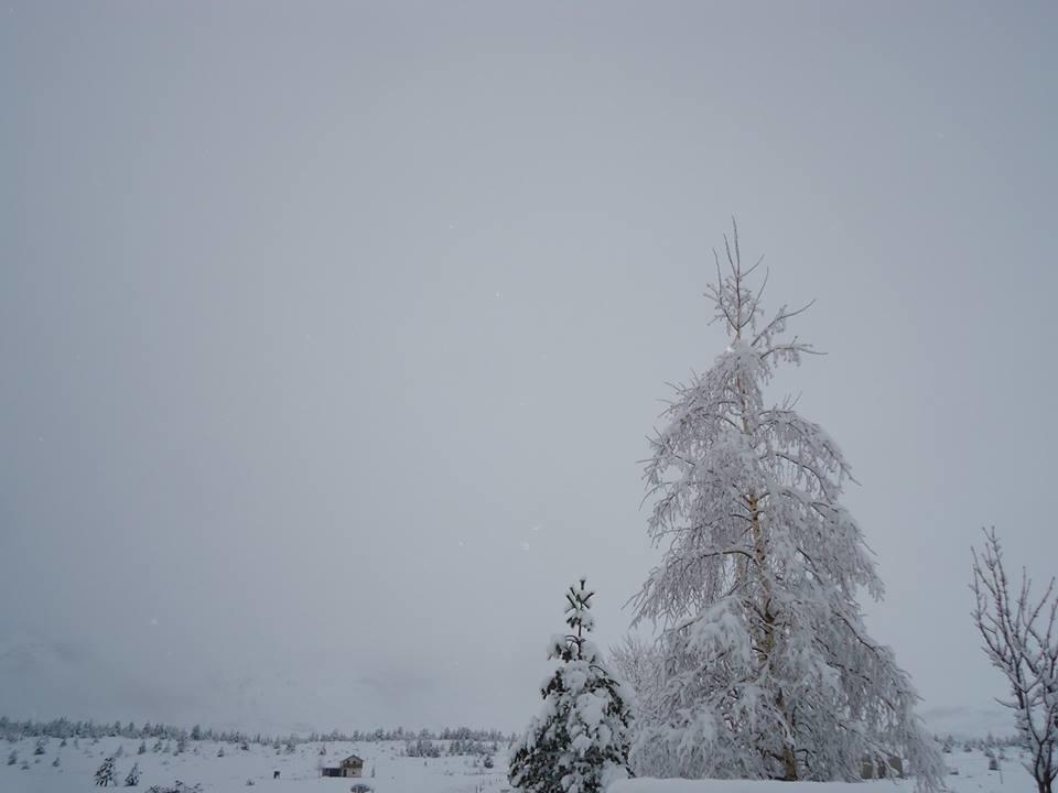 Вилла Vikendica Jela Blidinje Rudo Polje Экстерьер фото