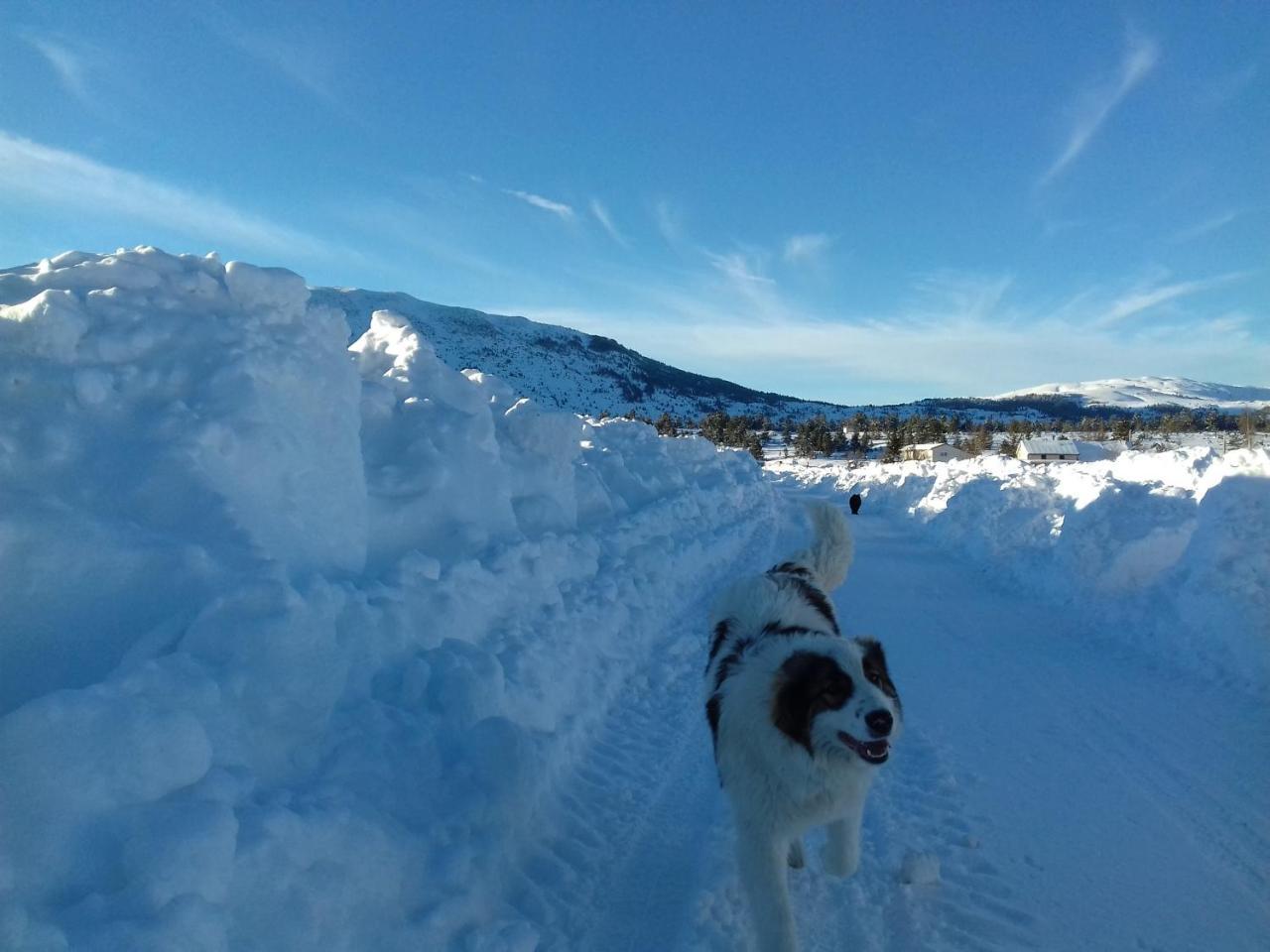 Вилла Vikendica Jela Blidinje Rudo Polje Экстерьер фото